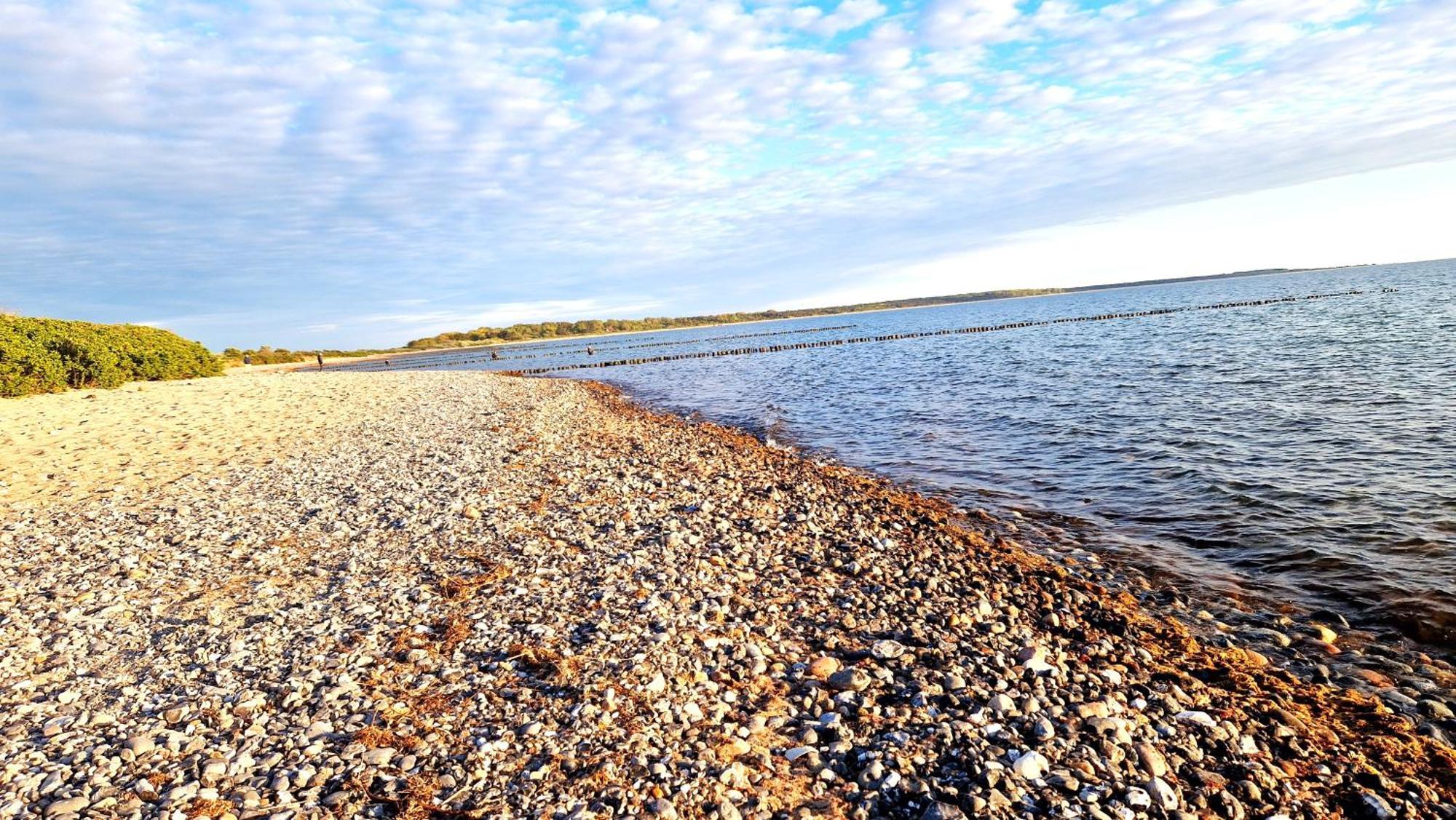 App 8O Grosser Tag Am Meer Mit Wasserblick Dranske Ngoại thất bức ảnh