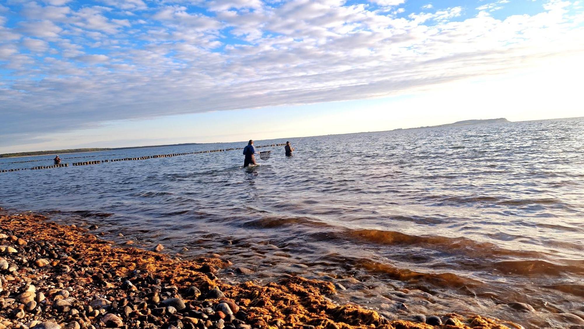App 8O Grosser Tag Am Meer Mit Wasserblick Dranske Ngoại thất bức ảnh